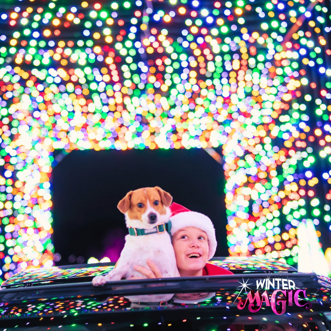 2026 2027 2028 Kansas City Best Christmas Lights Tradition Holiday Family Fun KC